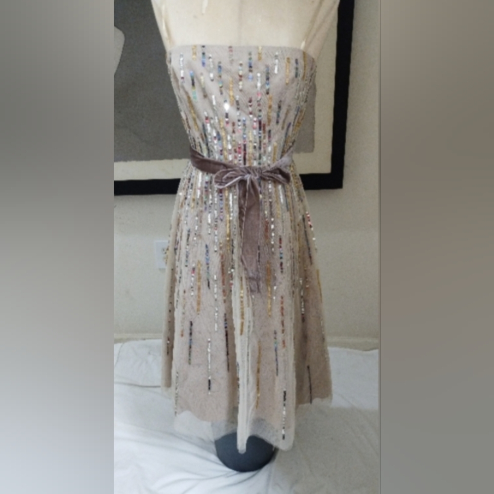 NWT BCBG Maxazria A-Line Sequin Tulle Dress